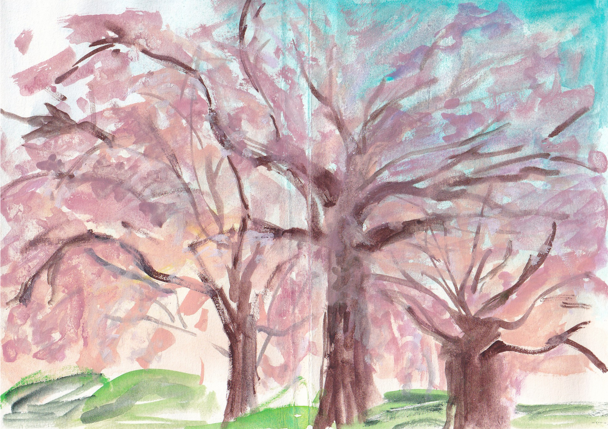 Weeping Cherry of Gion | Kyoto, Japan | Watercolour & Gouache Print